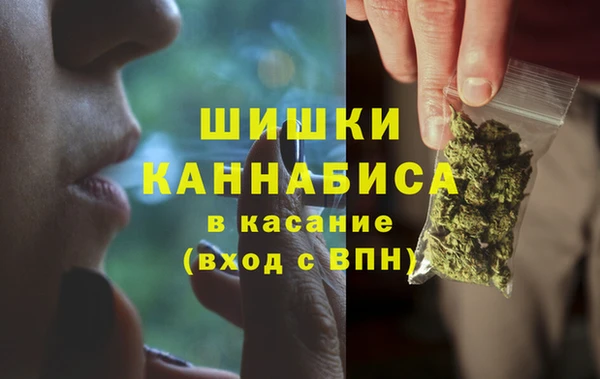 стафф Михайлов