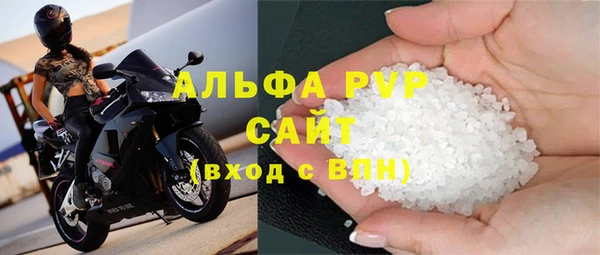стафф Михайлов