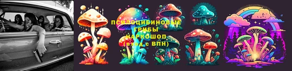 стафф Михайлов