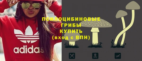 стафф Михайлов