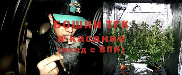 стафф Михайлов