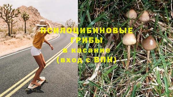 MDMA Михайловка