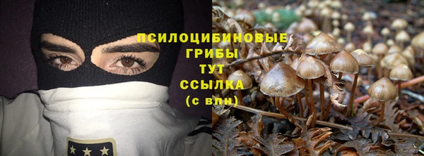 стафф Михайлов