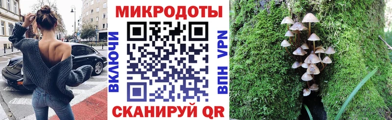 где купить наркоту  площадка наркотические препараты  Галлюциногенные грибы MAGIC MUSHROOMS  Кадников 
